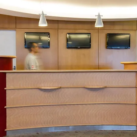Ibis Sao Joao